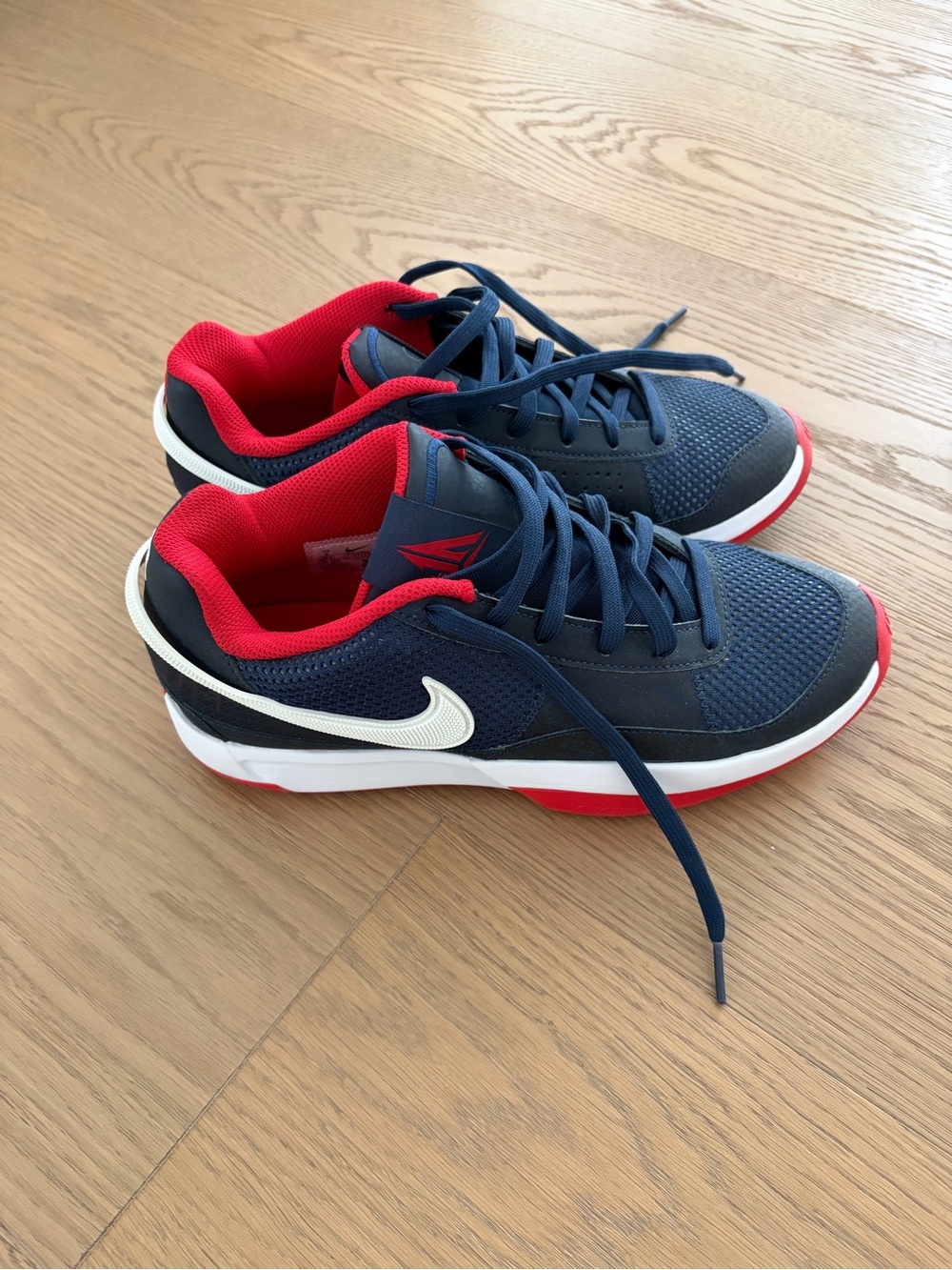Brand New Nike Ja 1 basketball shoes